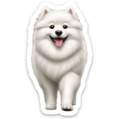 Samoyed on a walk sticker