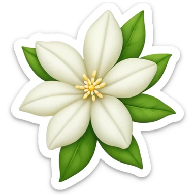 Jasmin flower  sticker