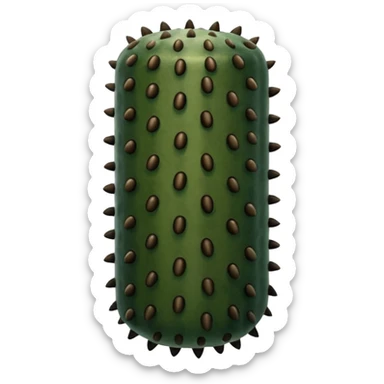 Sea Cucumber sticker