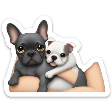 A blonde with a square hugs a gray French bulldog sticker