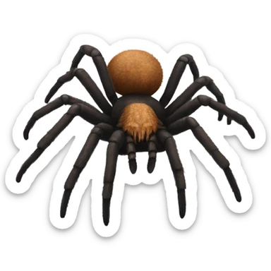tarantula spider realistic  sticker