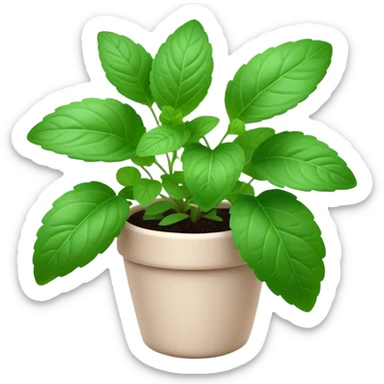 Cinematic Realistic Mint Emoji, Fresh and lively, with deep green leaves covered in tiny veins, emanating a cool, refreshing aroma. The plant’s soft, rounded edges sway gently in the breeze, inviting calm and relaxation. Soft glowing outline, capturing the essence of freshness and cooling fragrance in a fragrant mint plant! sticker