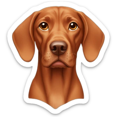 Vizsla dog sticker