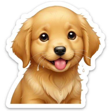 Cute golden retriever puppy licking sticker
