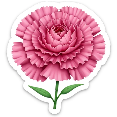 Carnation sticker