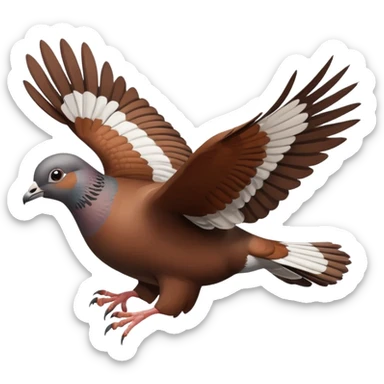 brown pigeon flying sticker