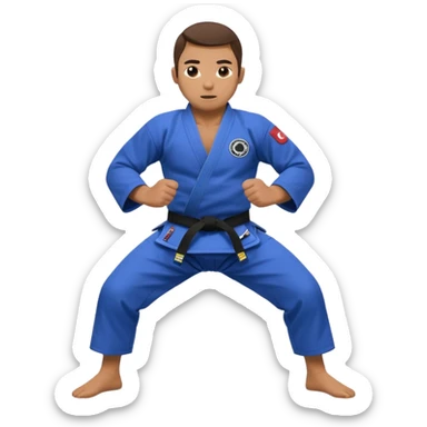 Jiu-jitsu sticker