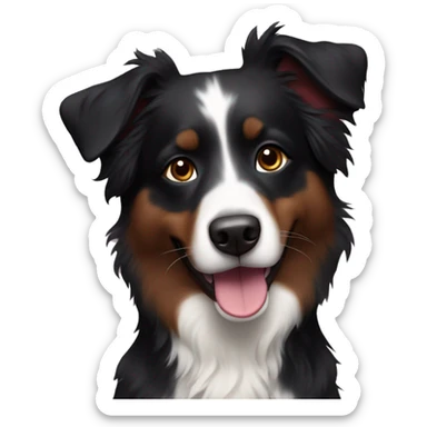 Small black australian shepherd dog with huge maroon heart sticker