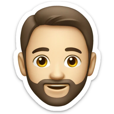 Toyota rav-4 sticker