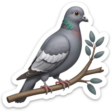 Pigeon sticker