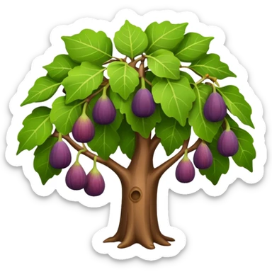 fig tree  sticker