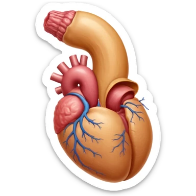 Veiny tan-colored male reproductive organ entering a moist vagina with parted lips sticker