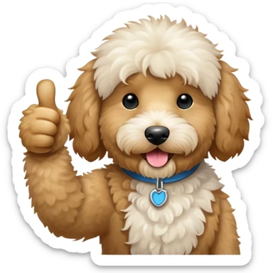 Goldendoodle with thumbs up sticker