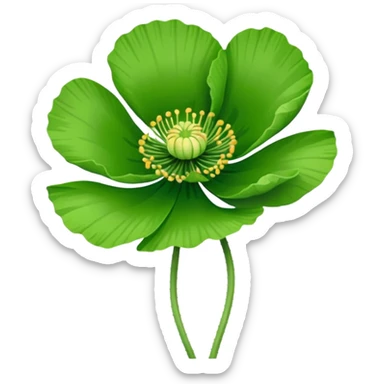 Poppy Plant with  white outline sticker