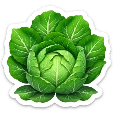 cabbage sticker