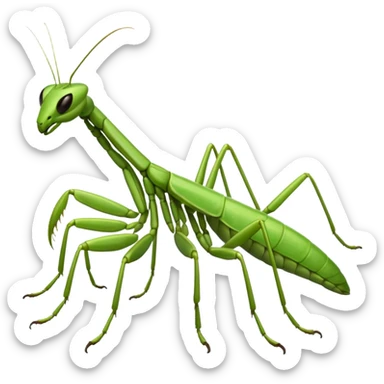 A mantis sticker