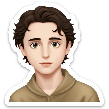 Timothée Chalamet sticker