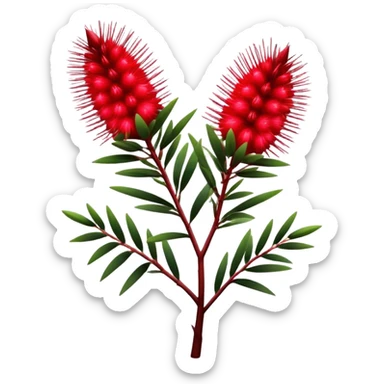 Cinematic Realistic Callistemon Emoji, Vibrant and striking, with spiky red flowers resembling a bottlebrush. The slender leaves create a fine backdrop to the bold blooms, while the plant exudes energy and vitality. Soft glowing outline, capturing the essence of strength, color, and natural beauty in a brilliant callistemon tree! sticker