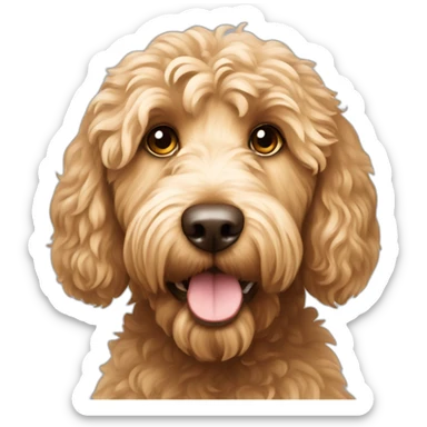 golden Australian labradoodle sticker