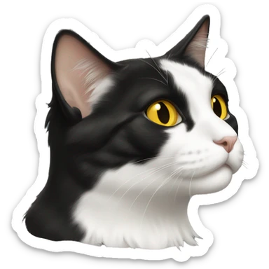 Longhaired Yellow eyed tuxedo cat sticker