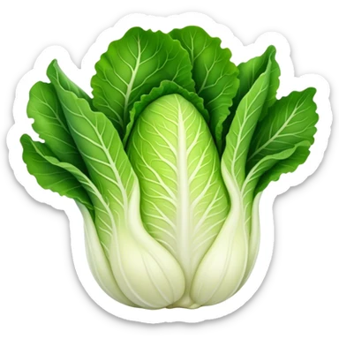 Napa Cabbage plant  sticker