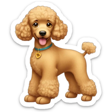 golden poodle with teddy bear haircut sticker