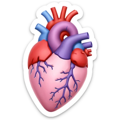 soft pastel pink anatomic heart with a hint of lavender sticker