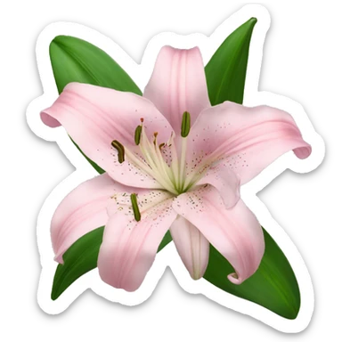 light pink lilium sticker