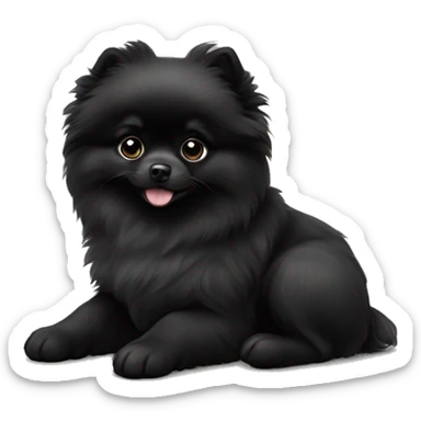 Black Pomeranian puppy sticker