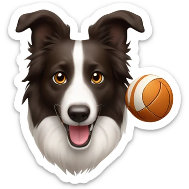 Border collie marrón jugando con una pelota sticker