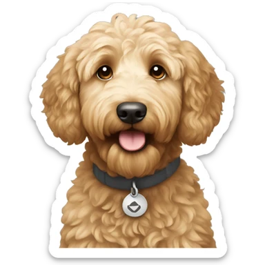 Goldendoodle  sticker