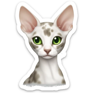 Cornish Rex cat with green eyes, white fur and a gray spot near the eye is cuddled by a blonde with long cut straight hair and green eyes sticker