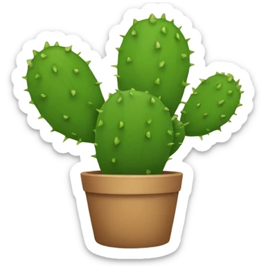 single flat Nopal without pot sticker