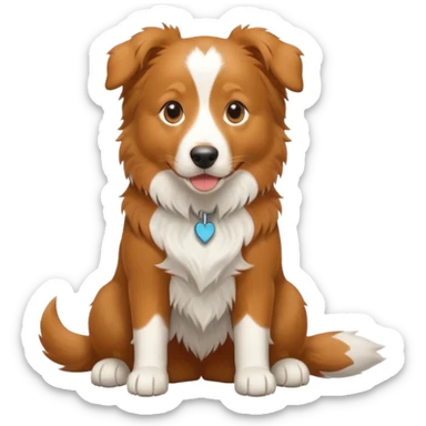 Nova Scotia duck tolling retriever and border collie mix dog. Light brown. White paws, a little white on chest and on tail sticker