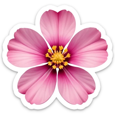 coquina flower sticker