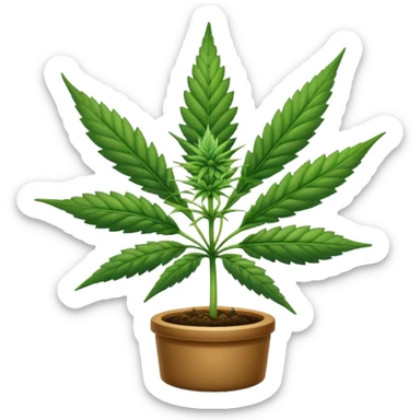 Cannabis sticker