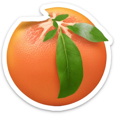 Grapefruit with leaves sticker