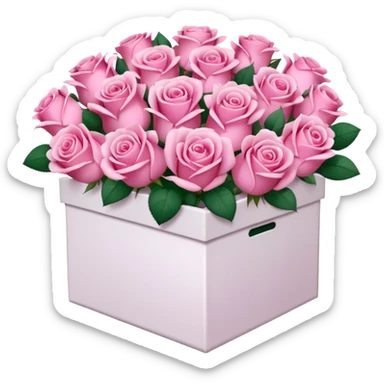 bouquet of pink 30 roses in a white box，no leaves sticker