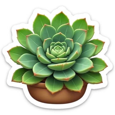Cinematic Realistic Succulent Emoji, Compact and plump, with fleshy leaves arranged in rosettes of various shapes. The soft, green leaves glow with a gentle radiance, exuding a sense of calm and tranquility. Soft glowing outline, capturing the essence of resilience and beauty in a blossoming succulent! sticker