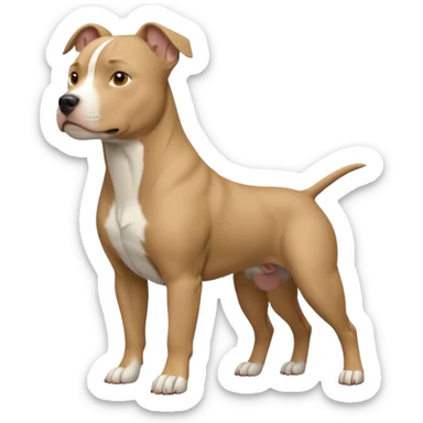 Pitbull blue fawn sticker