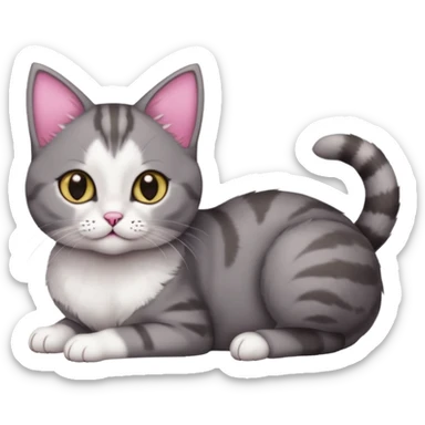 full body tiny short hair dark grey and white cat with hazel eyes lying down sticker