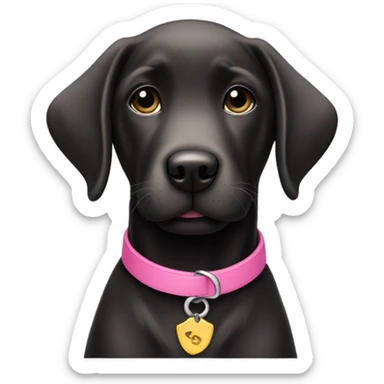 Black lab puppy with pink collar sticker