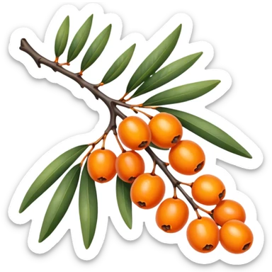 sea buckthorn branch with orange berries sticker