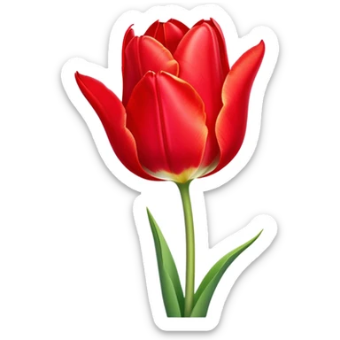 ​Cinematic Realistic Tulip, depicted as a single, exquisitely detailed bloom with vibrant red petals and a delicate stem, softly illuminated by natural light that highlights its graceful beauty and elegant form, sticker