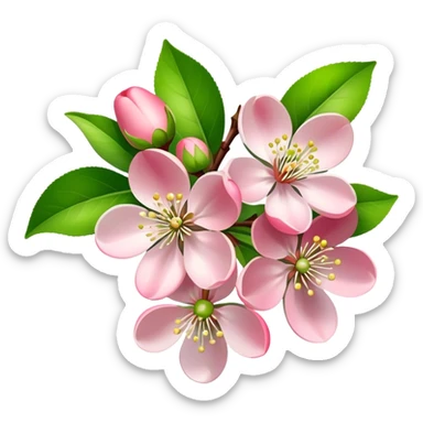 bouquet light pink Apple blossom, luxuriant, stem, leaf, bud sticker