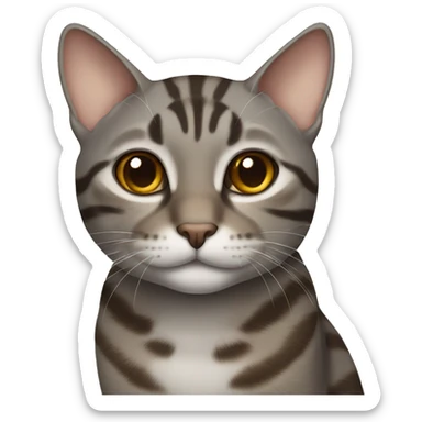 grey and brown tabby cat sticker