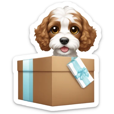 Brown and white cavapoo and gift box sticker