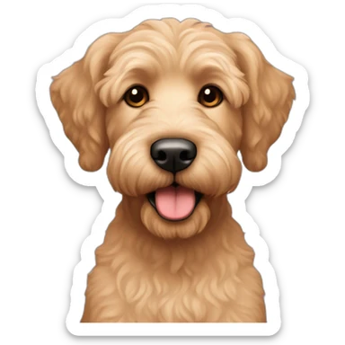 Mini labradoodle apricot with big ears and a big Black nose only face sticker