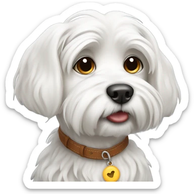 begging maltese dog  sticker