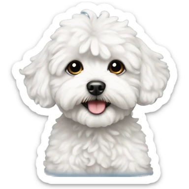 White and black maltipoo sticker